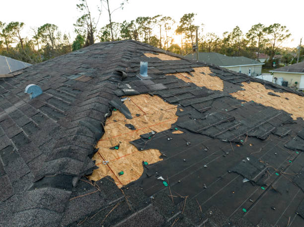 Best Gutter Installation and Repair  in Windsor, IL